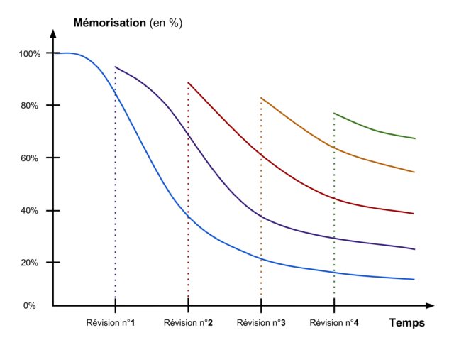 Courbe de l'oubli 