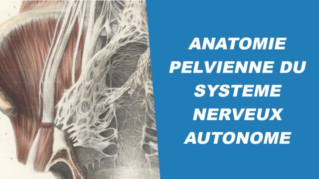 Couverture anatomie pelvienne du système nerveux autonome