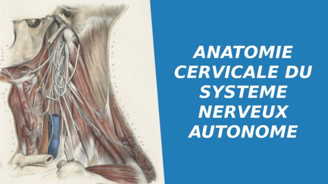 Couverture anatomie cervicale du système nerveux autonome